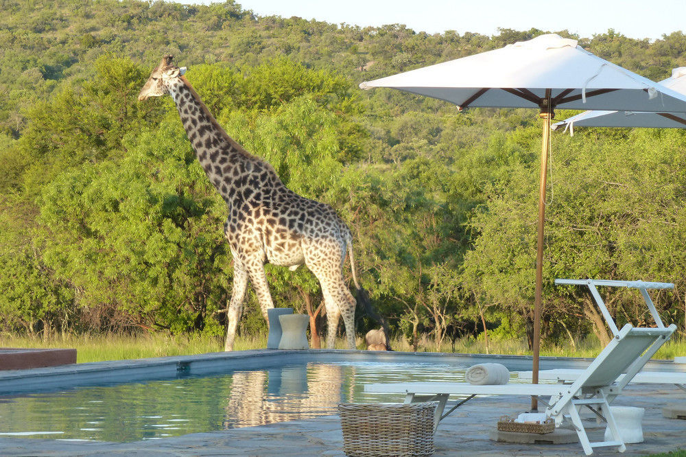 Zebras Crossing Private Game Lodge Modimolle Exterior foto