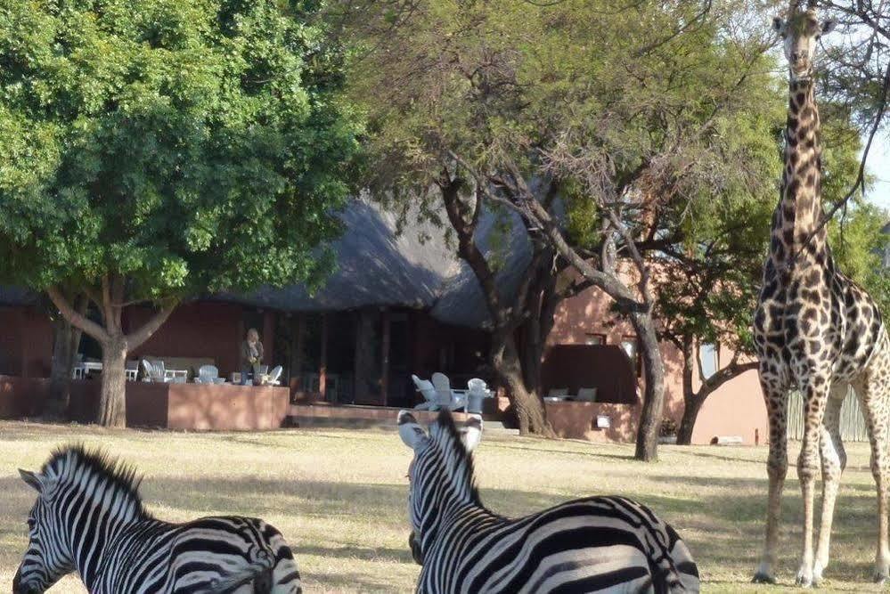 Zebras Crossing Private Game Lodge Modimolle Exterior foto