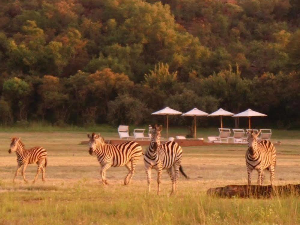 Zebras Crossing Private Game Lodge Modimolle Exterior foto