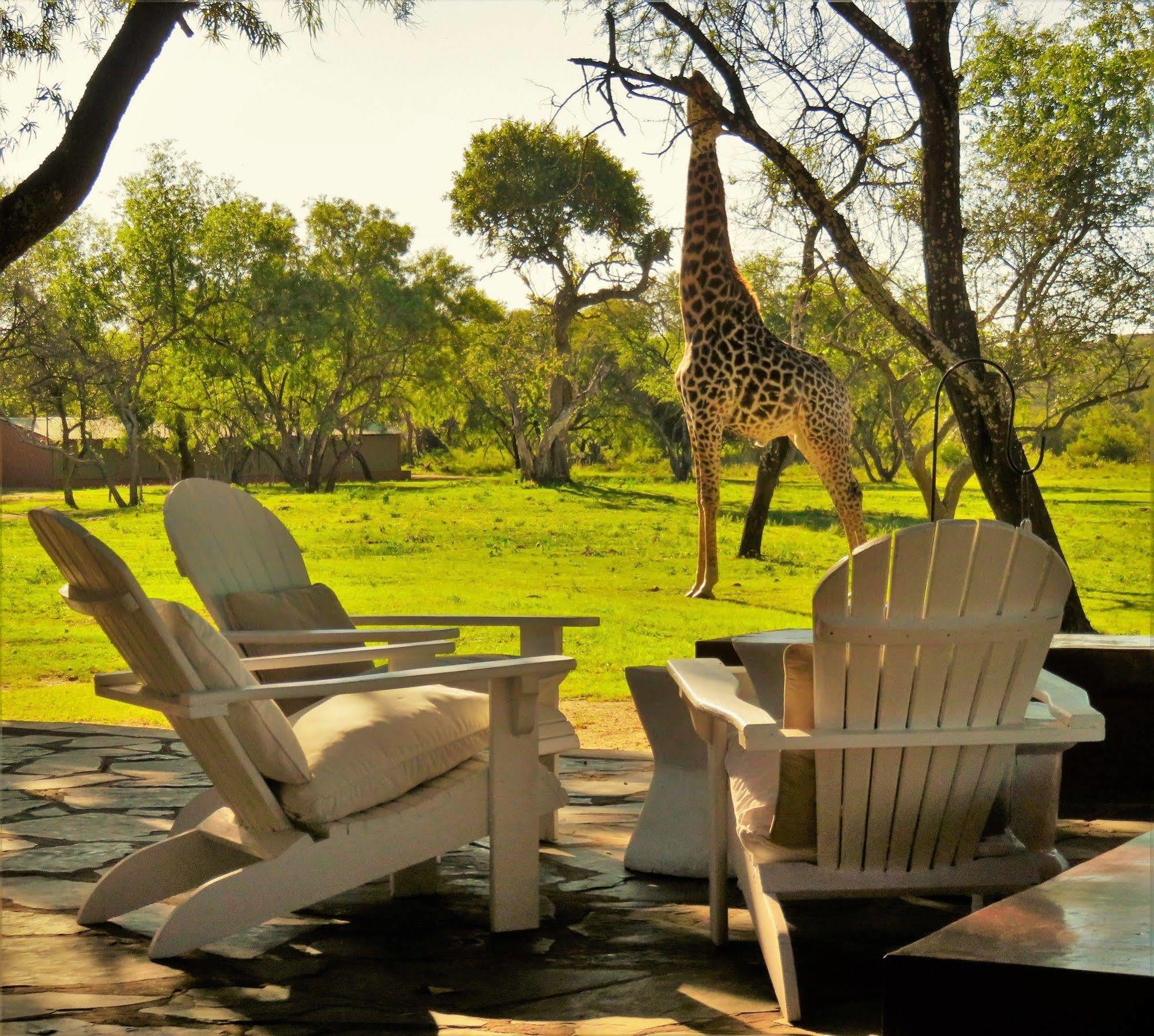Zebras Crossing Private Game Lodge Modimolle Exterior foto